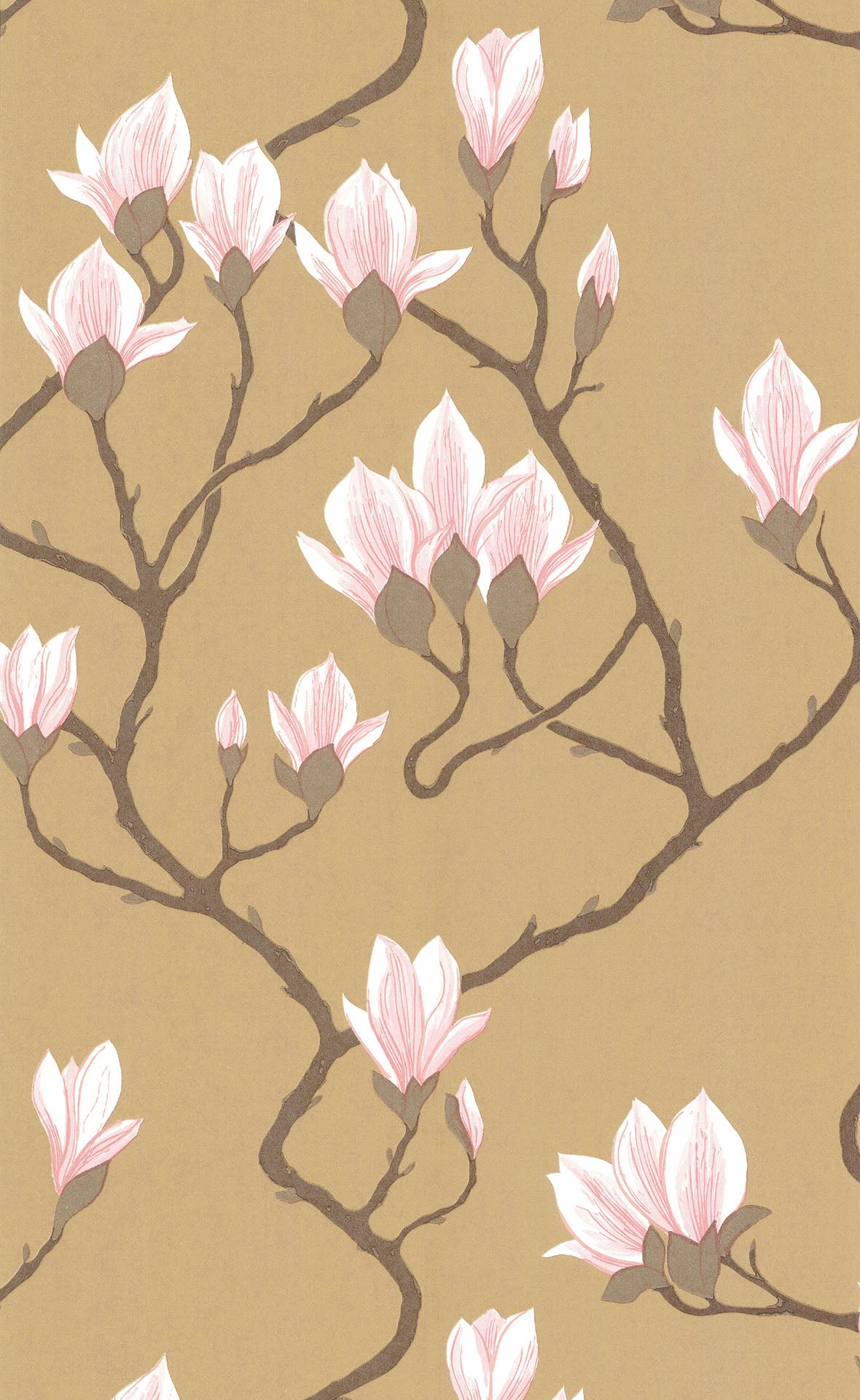 Magnolia - Wallpaper Trader