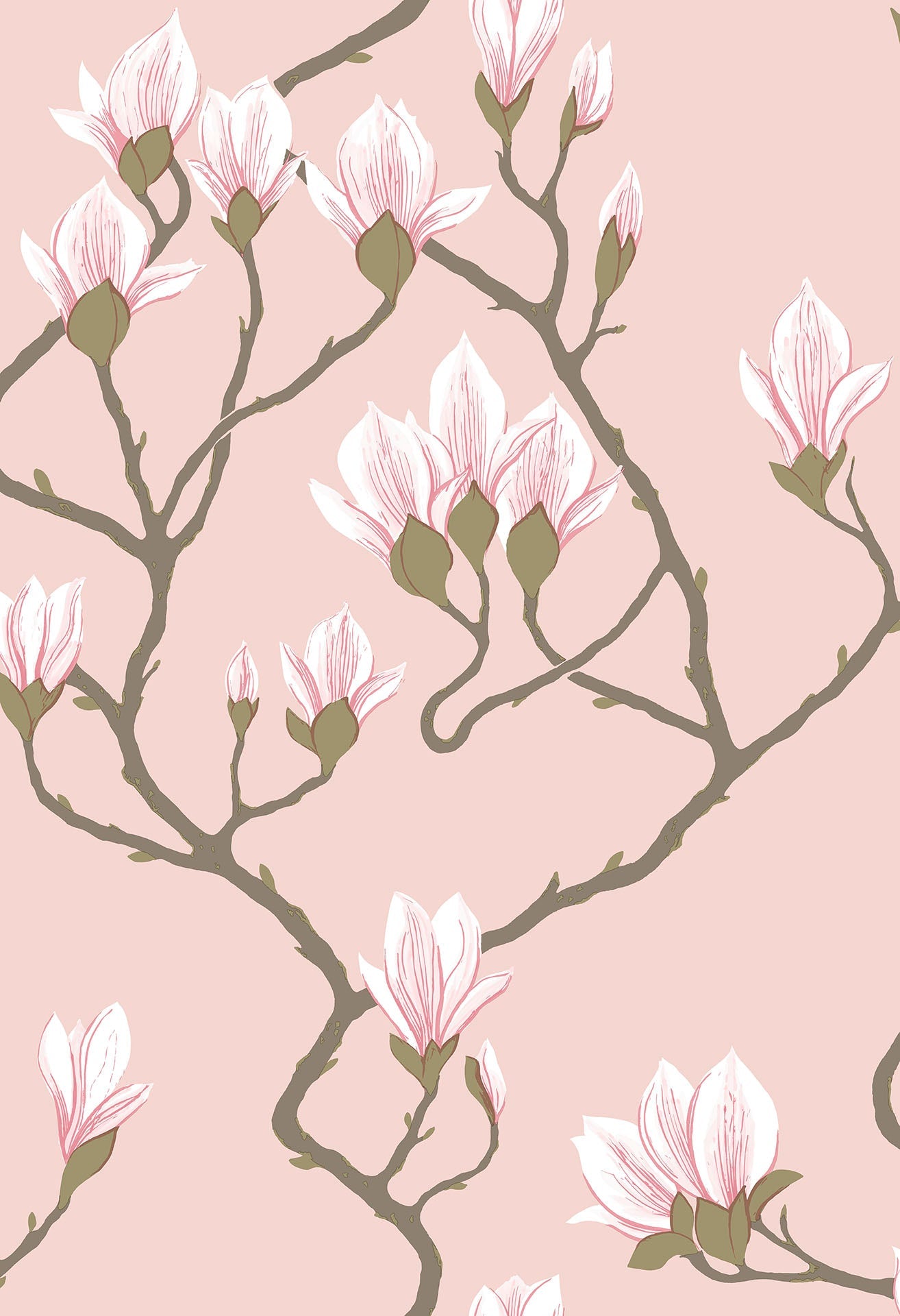 Magnolia - Wallpaper Trader