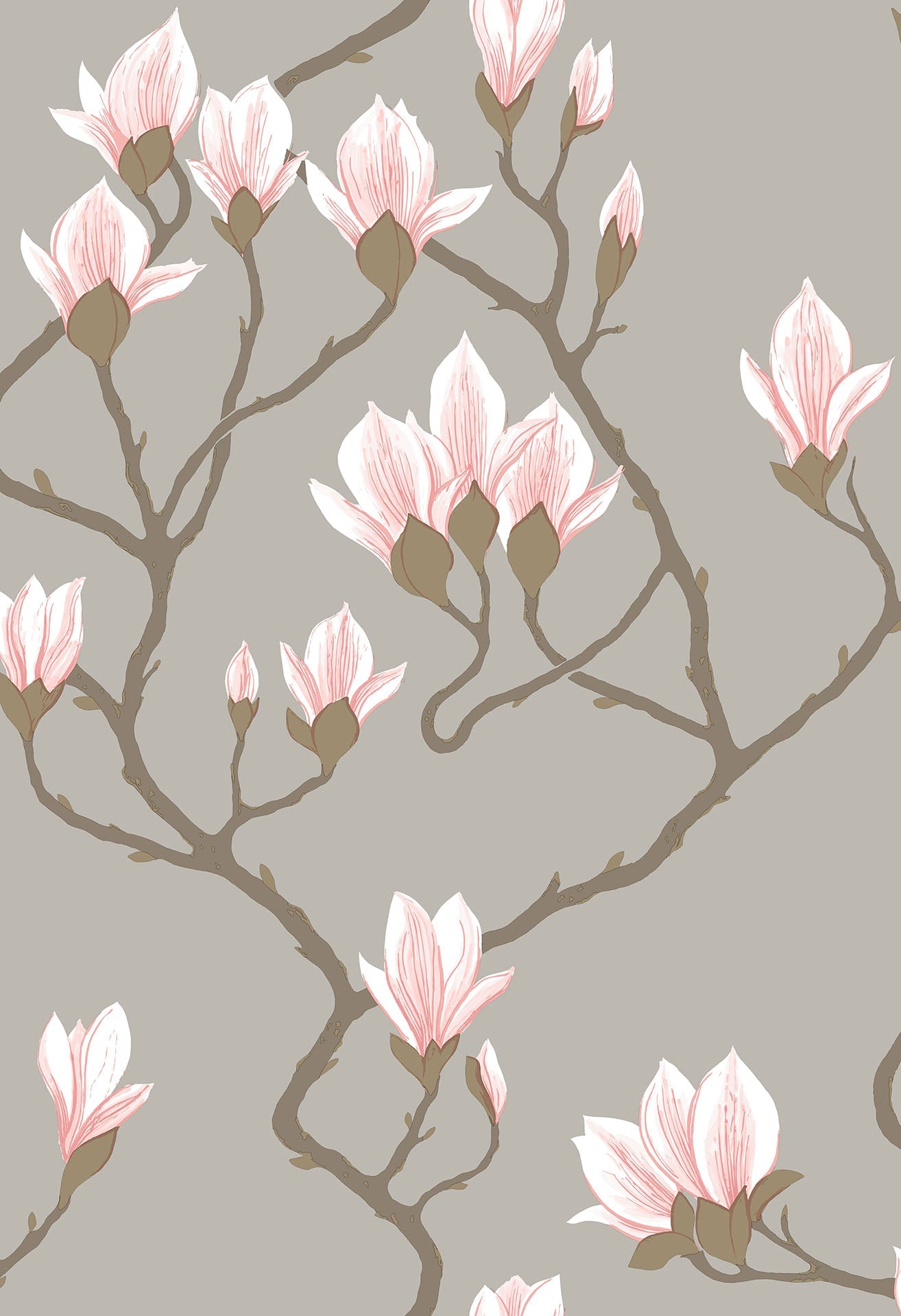 Magnolia - Wallpaper Trader