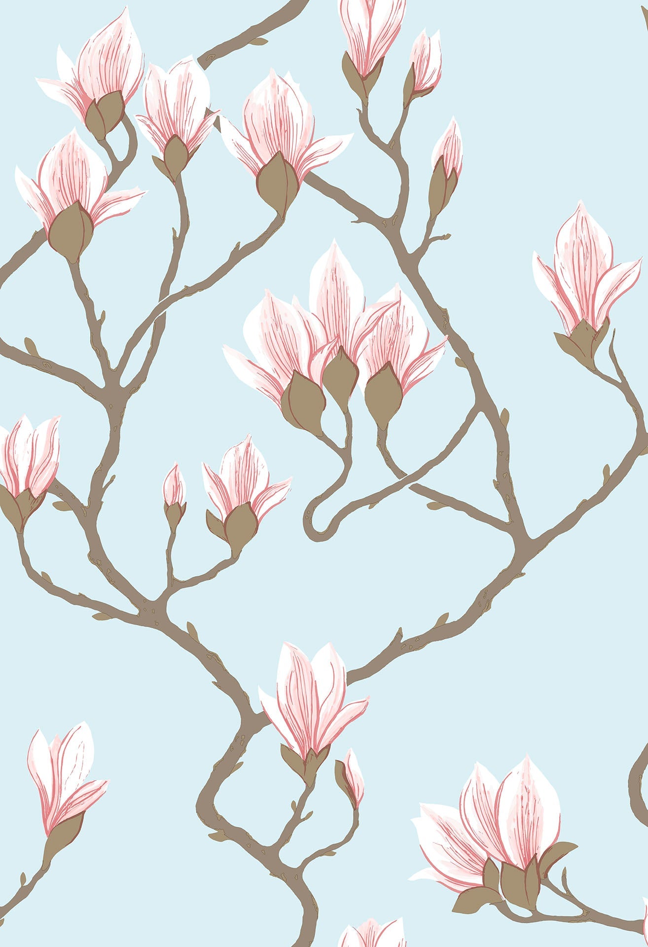 Magnolia - Wallpaper Trader