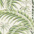 Palm House wallpaper by Langelid/von Bromssen - tropical design in Green