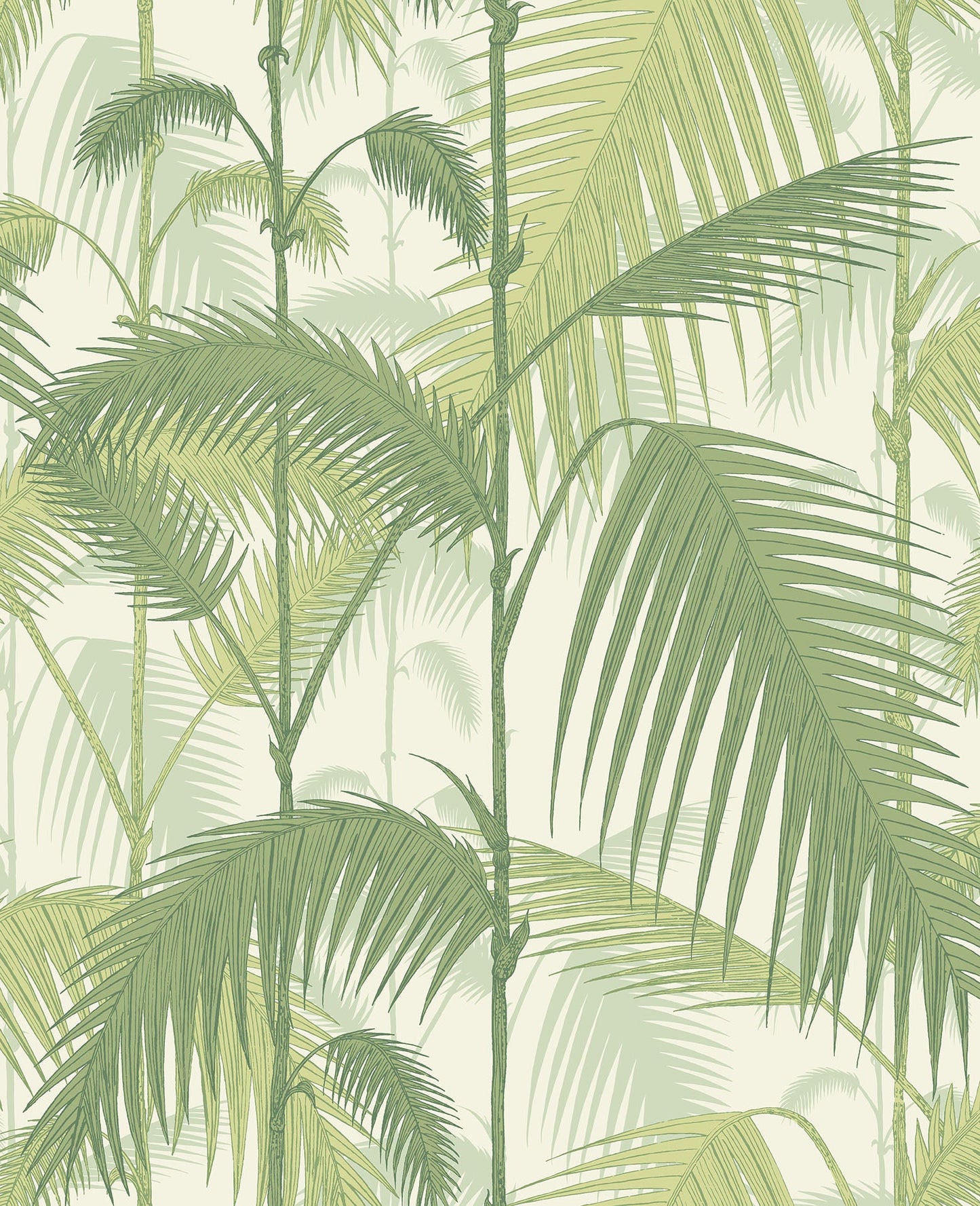 Palm Jungle - Wallpaper Trader