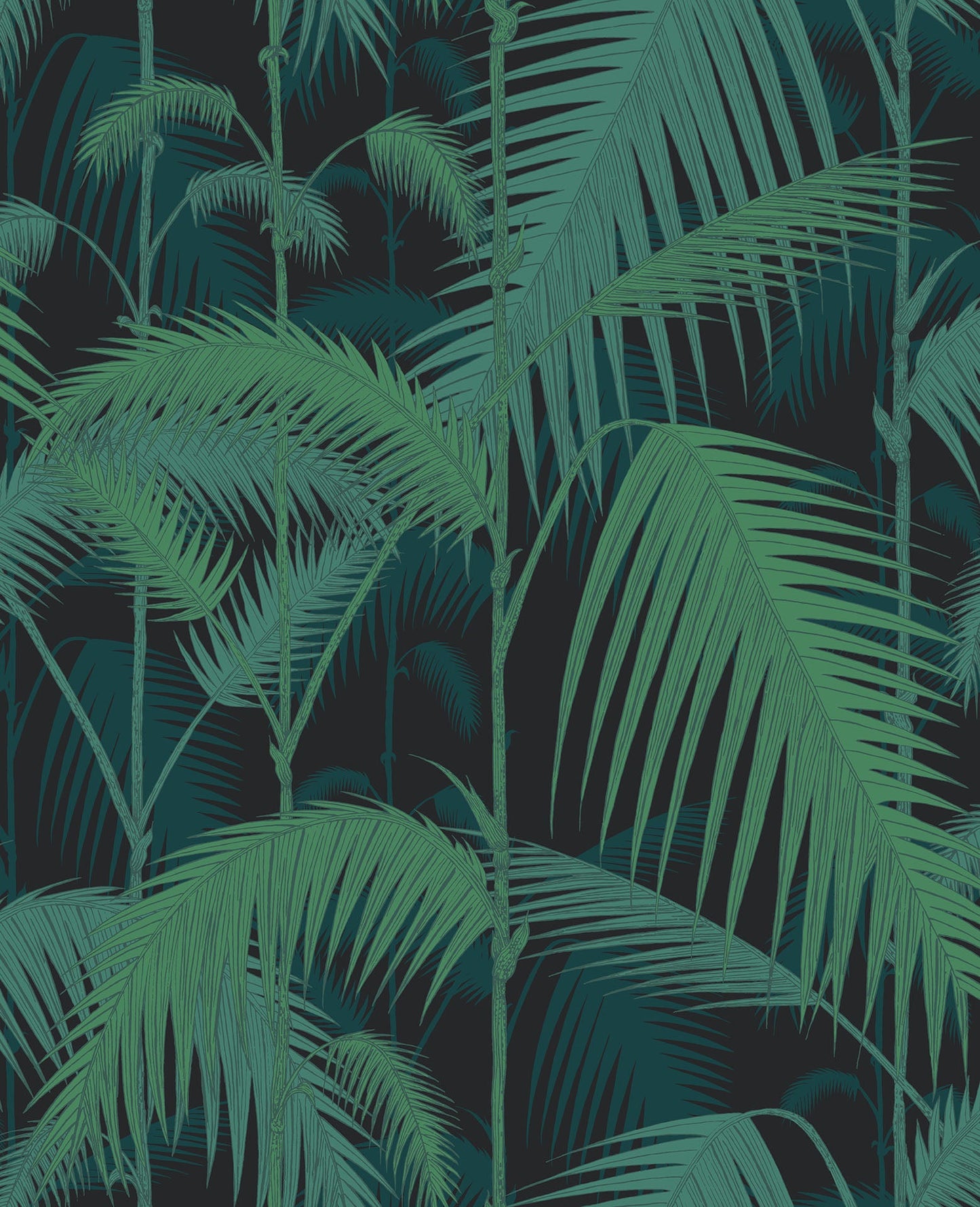 Palm Jungle - Wallpaper Trader