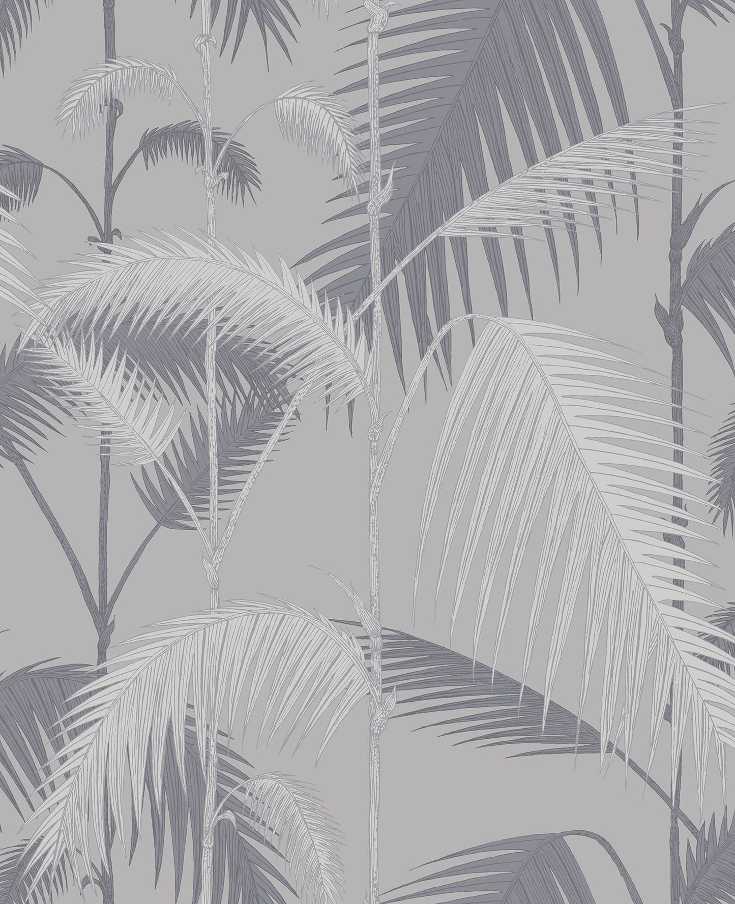 Palm Jungle - Wallpaper Trader