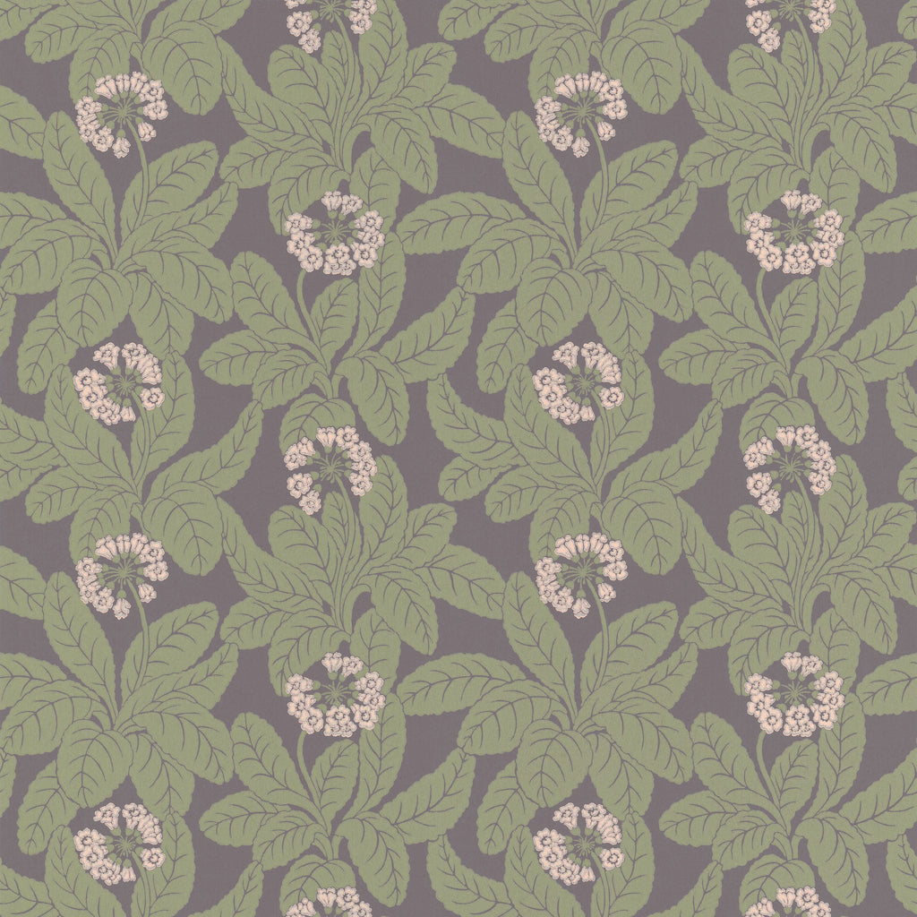 Primula wallpaper by Langelid/von Bromssen - floral design in Purple