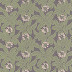 Primula wallpaper by Langelid/von Bromssen - floral design in Purple