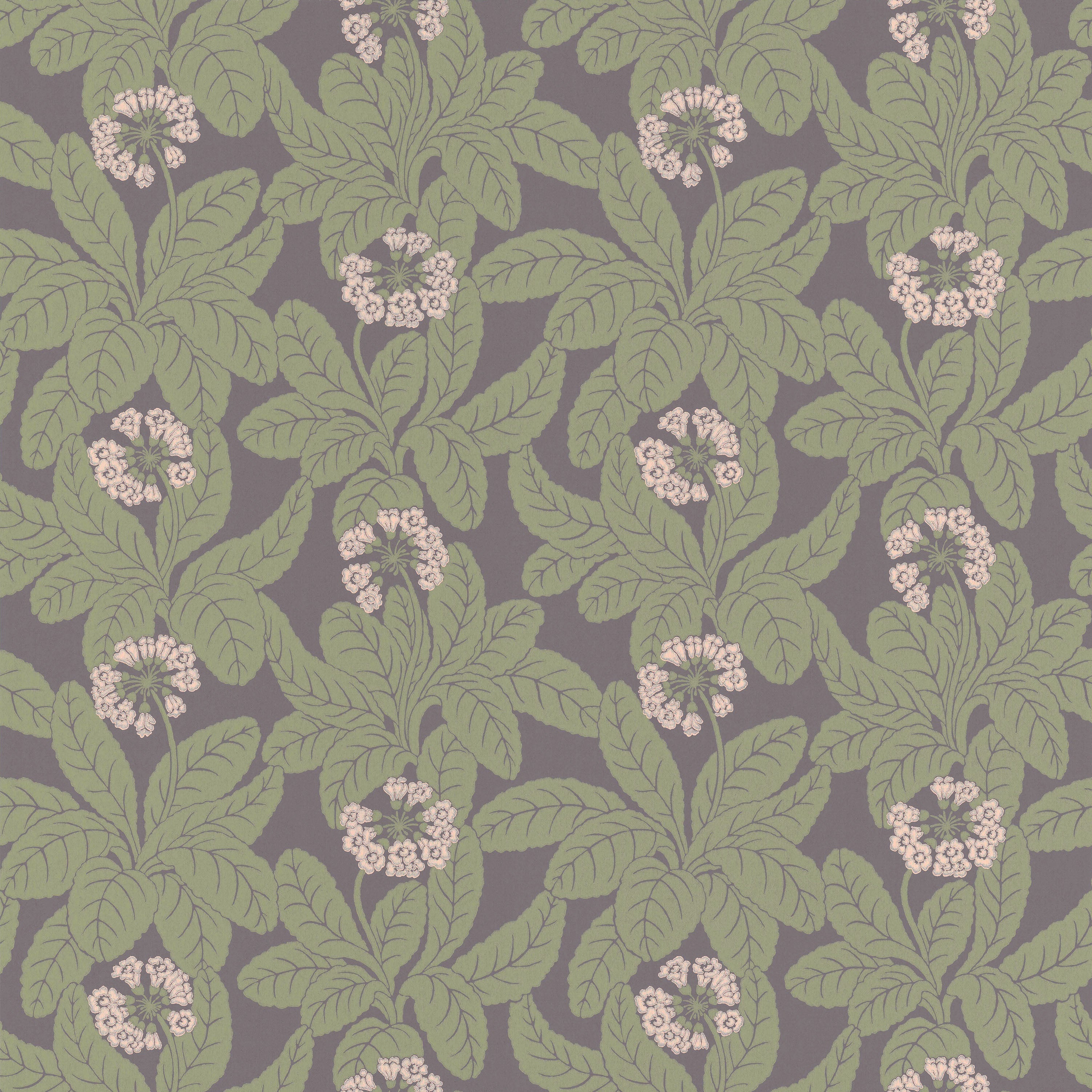 Primula wallpaper by Langelid/von Bromssen - floral design in Purple