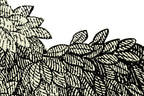 Bellewood wallpaper by Rebel Walls in Green, close detail of the print