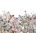 May Meadow mural by Rebel Walls in Pastel, a dense wildflower meadow border in soft pinks, blues and greens