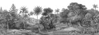 Jungle Land - Wallpaper Trader