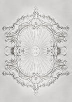 Stucco Gloria wall mural by Rebel Walls in White – Ceiling, flat swatch