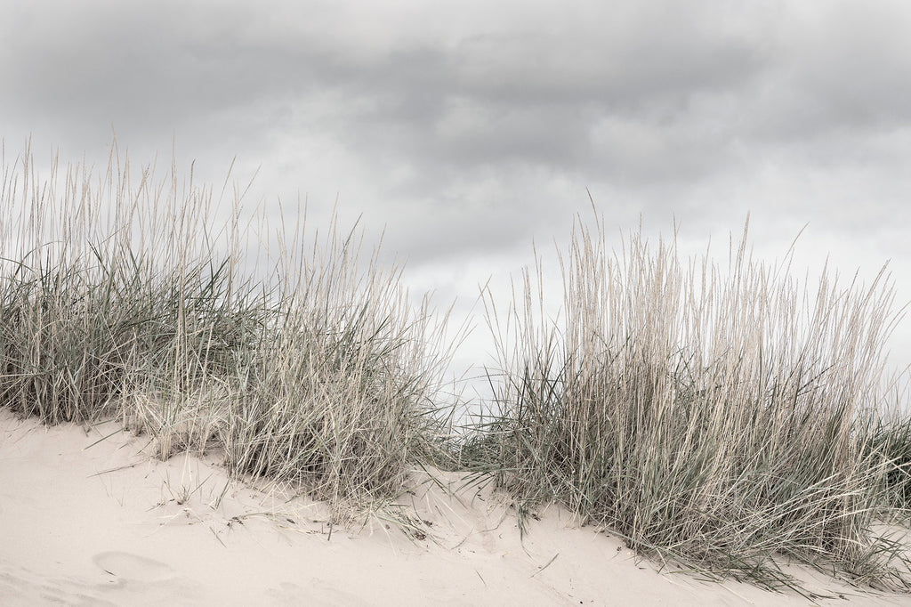 Pale Shore wall mural by Rebel Walls in Grey, flat swatch