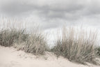 Pale Shore wall mural by Rebel Walls in Grey, flat swatch