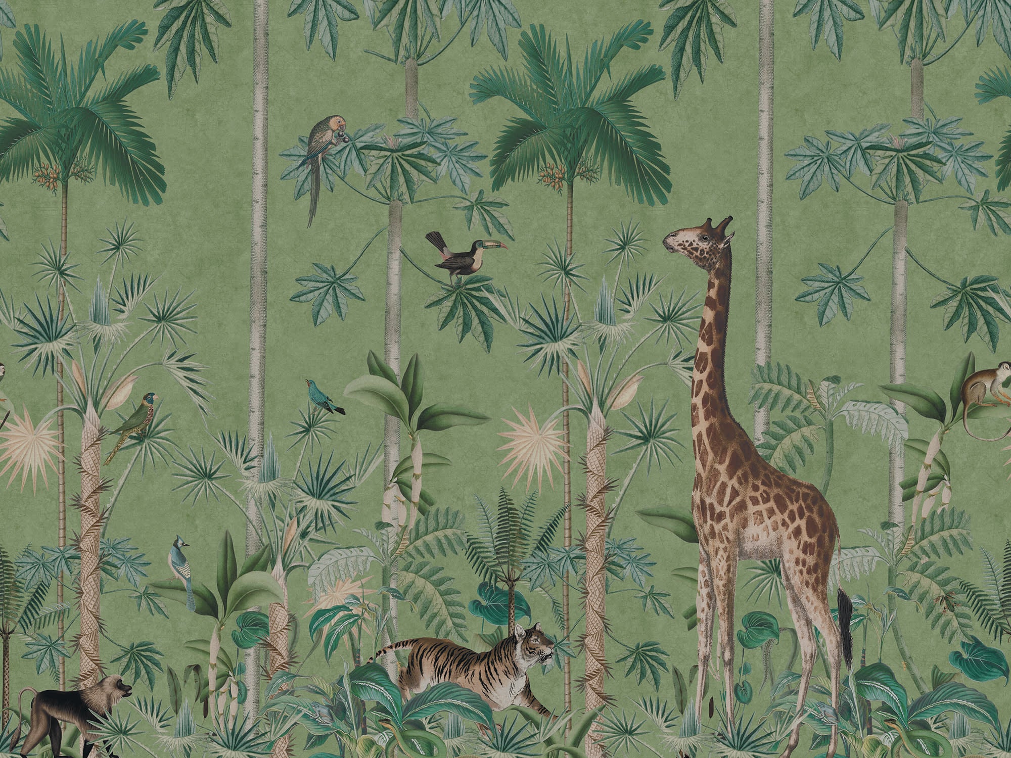 Giraffe's Stroll wallpaper by Rebel Walls in Green, flat pattern repeat