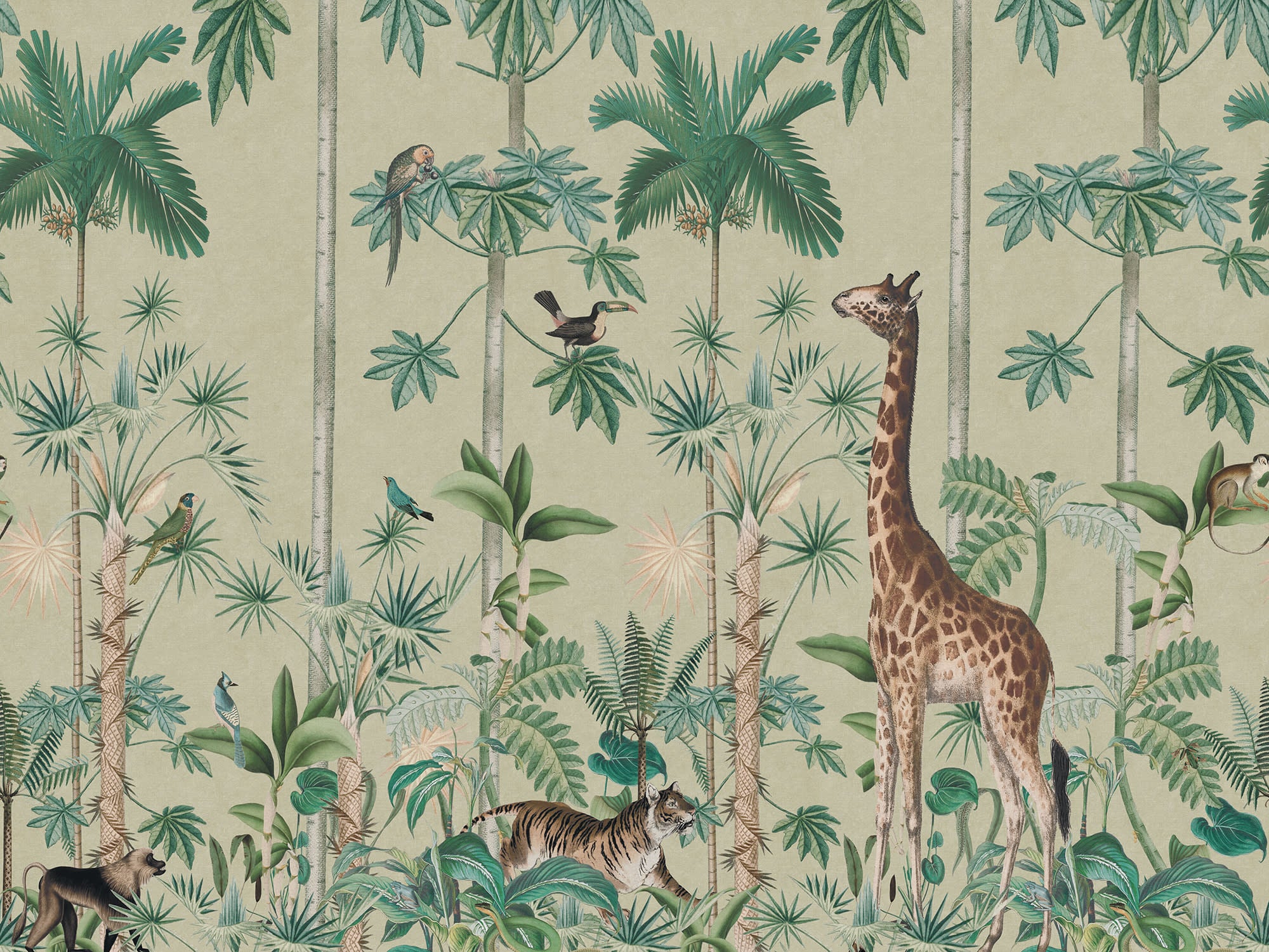 Giraffe's Stroll wallpaper by Rebel Walls in Light Green, flat pattern repeat