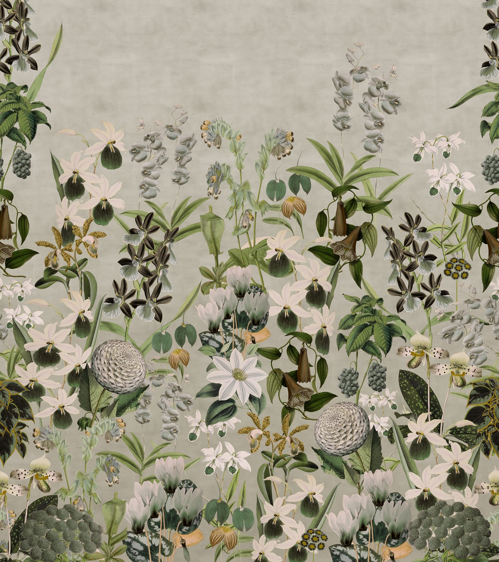 Alice's Garden Mural by Rebel Walls, flat swatch of the sage green and white botanical colourway
