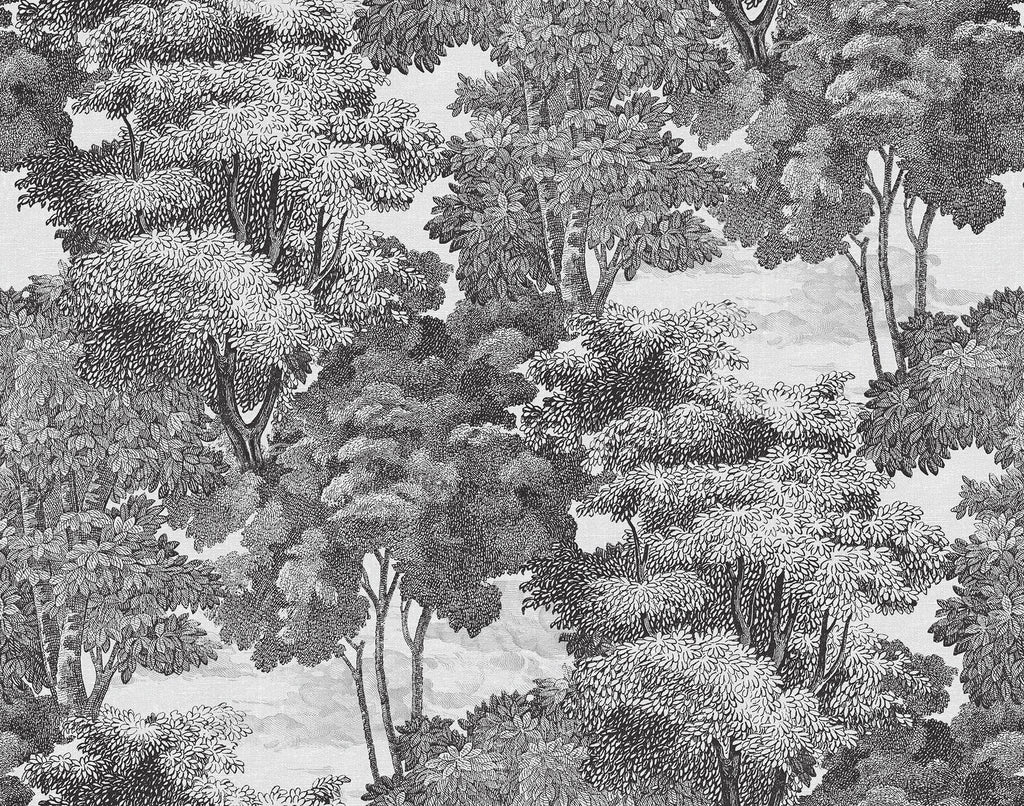 Saint Sebastian wallpaper by Rebel Walls in Grey – Graphite, flat swatch
