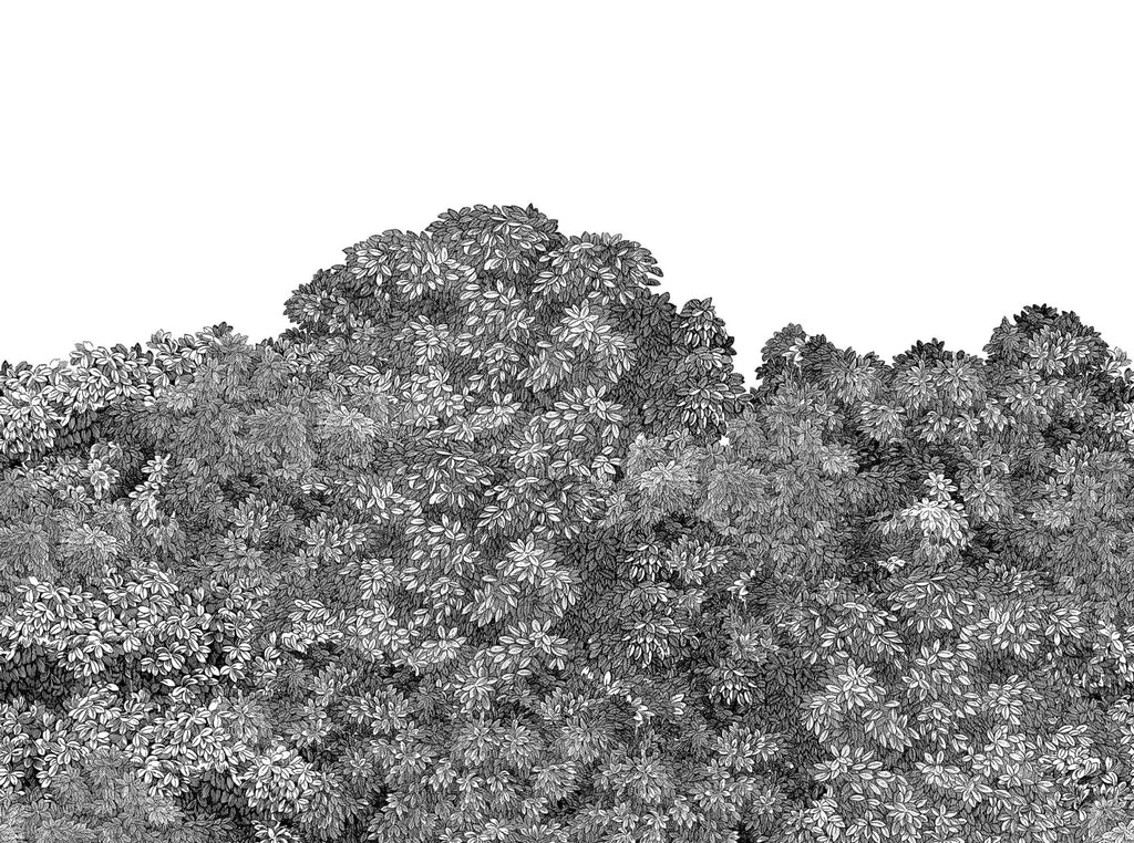 Belle Buisson - Black wallpaper swatch