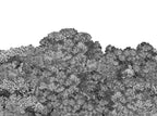 Belle Buisson - Black wallpaper swatch