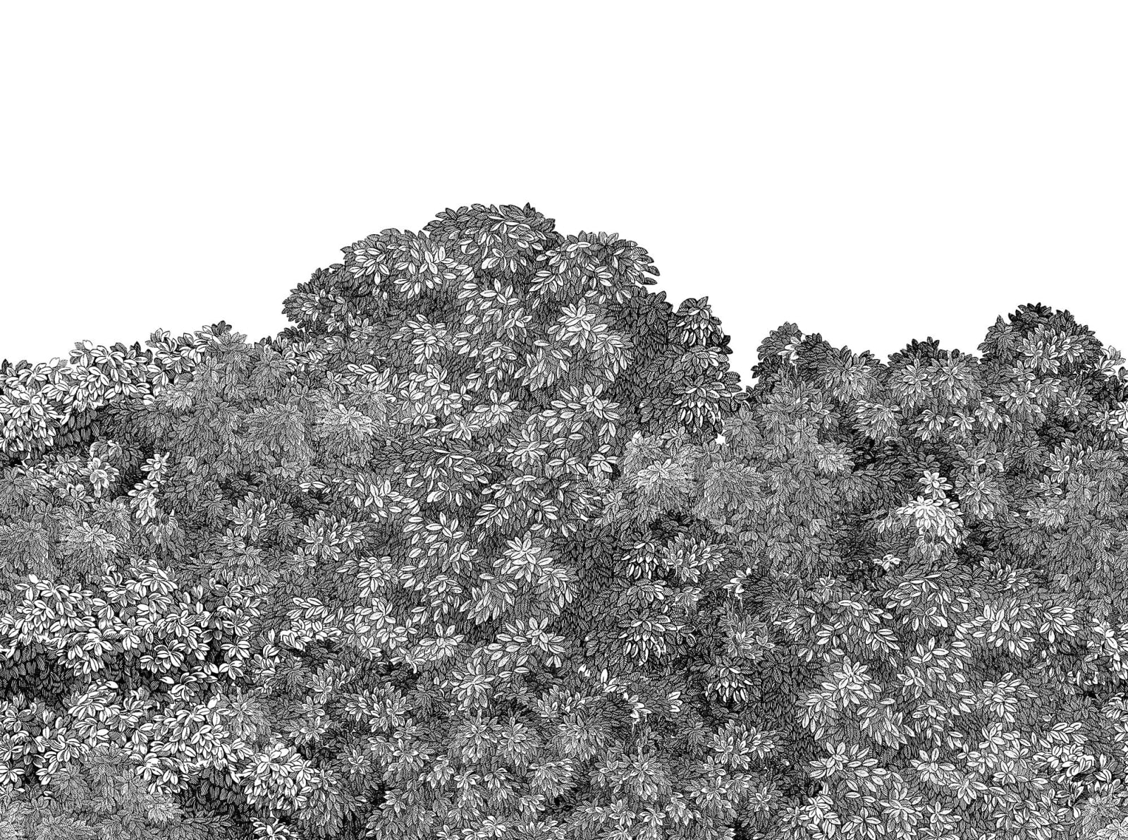 Belle Buisson - Black wallpaper swatch