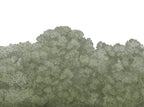 Belle Buisson - Green wallpaper swatch