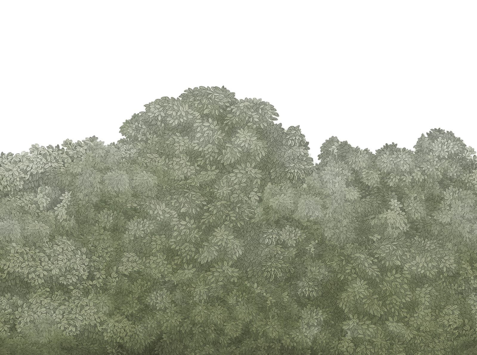 Belle Buisson - Green wallpaper swatch