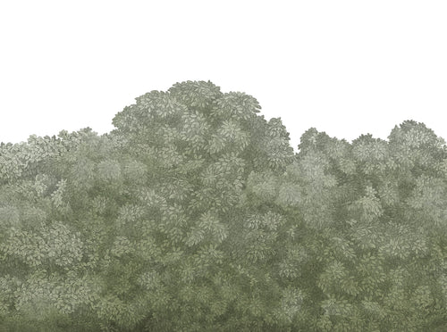 Belle Buisson wall mural by Rebel Walls in Green, flat swatch
