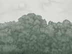 Belle Buisson - Green – Grey Sage wallpaper swatch