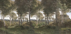 Danish Forest - Green wallpaper swatch