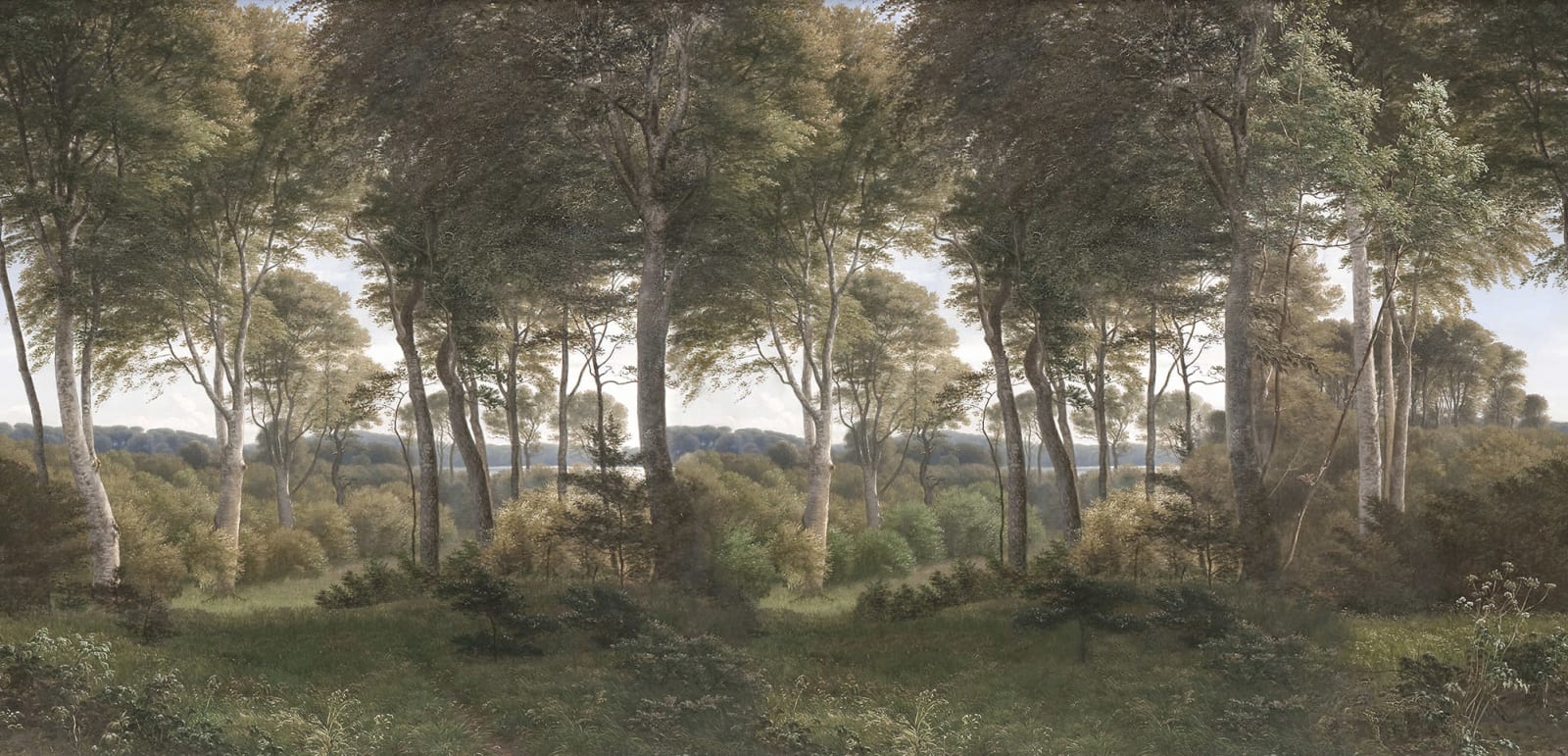 Danish Forest - Green wallpaper swatch