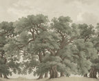 Vintage Oaks - Green – Sage Tone wallpaper swatch