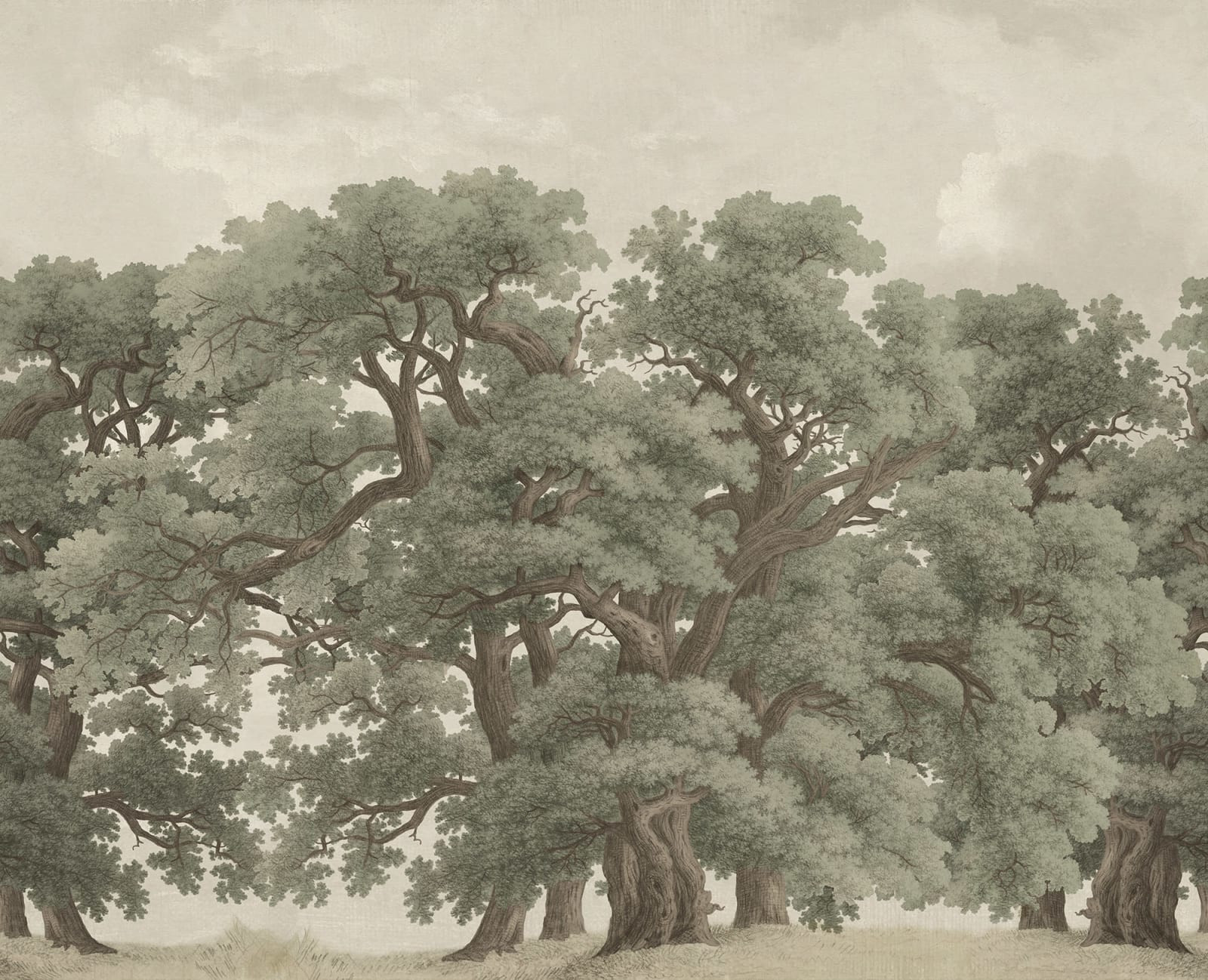 Vintage Oaks - Green – Sage Tone wallpaper swatch