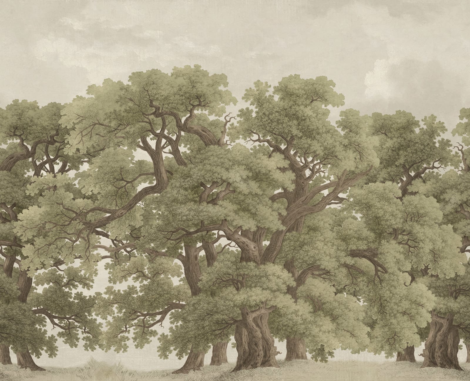 Vintage Oaks - Green – Fresh Tone wallpaper swatch