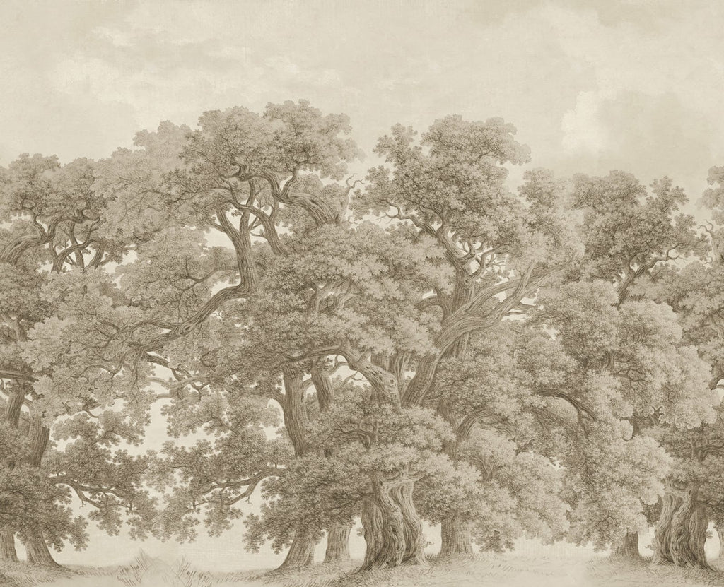 Vintage Oaks - Beige wallpaper swatch