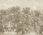 Vintage Oaks - Beige wallpaper swatch