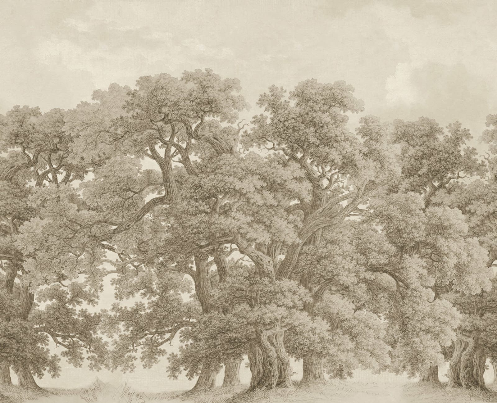 Vintage Oaks - Beige wallpaper swatch