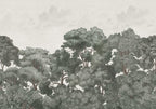 Bellewood Clouds - Green – Cool Tone wallpaper swatch