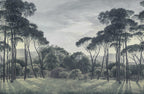 Pine Wood - Blue wallpaper swatch