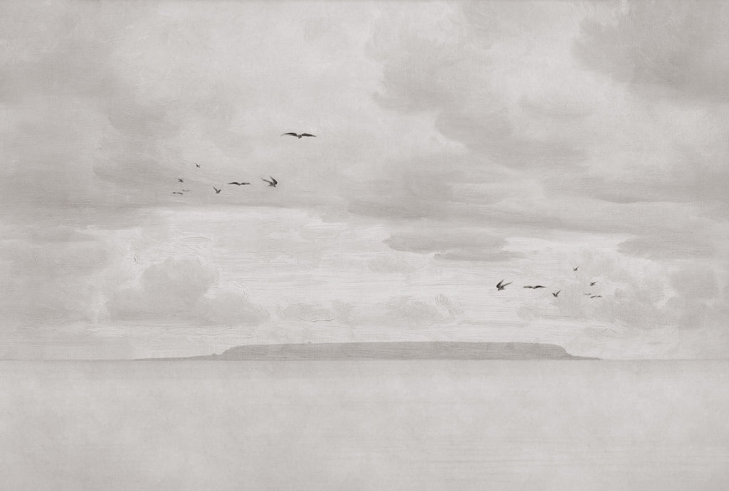 Seabirds wall mural by Rebel Walls in Grey, flat swatch