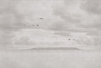 Seabirds wall mural by Rebel Walls in Grey, flat swatch