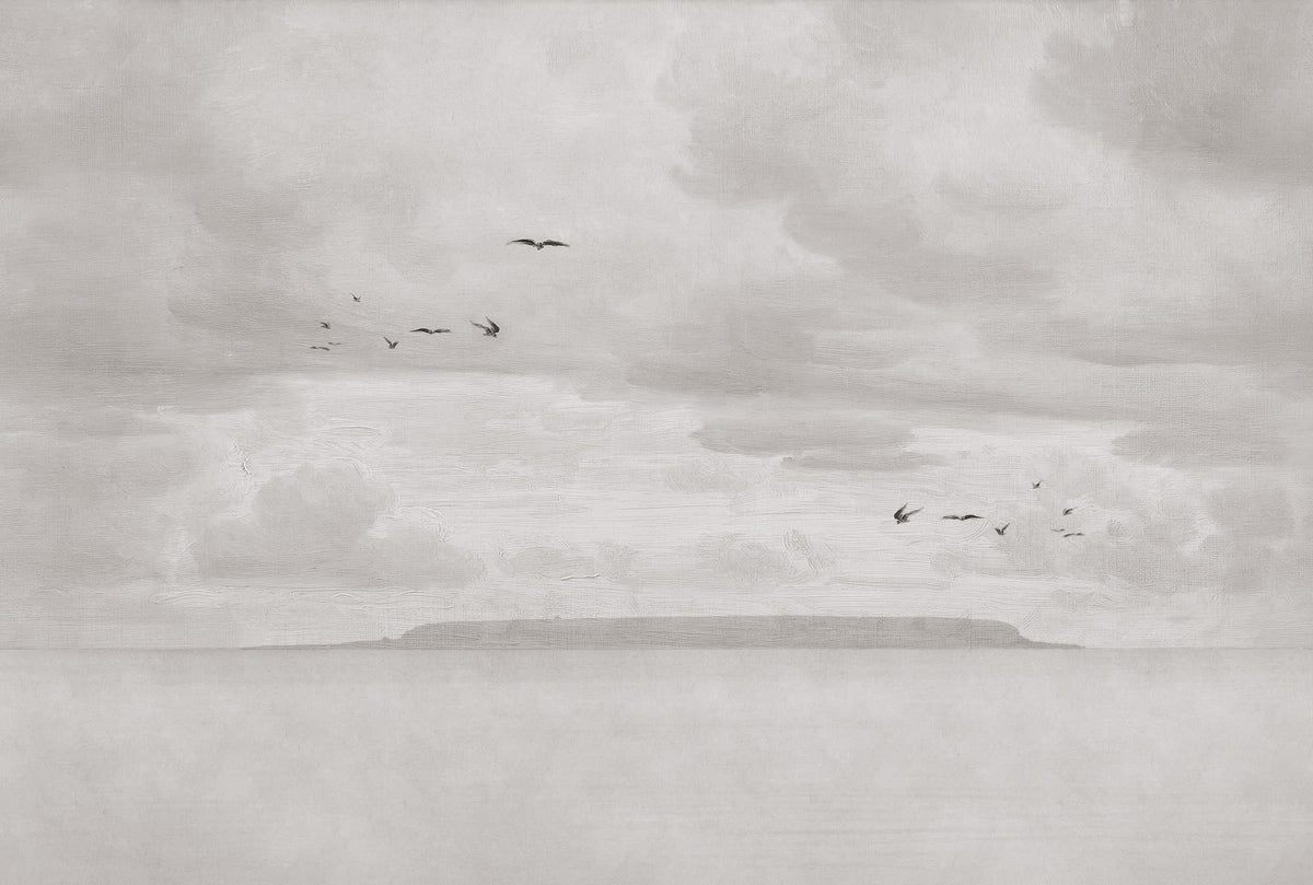 Seabirds wall mural by Rebel Walls in Grey, flat swatch