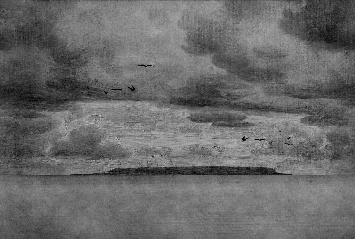 Seabirds wall mural by Rebel Walls in Charcoal, flat swatch