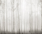 Birch Fog wall mural by Rebel Walls in White, flat swatch