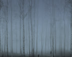 Birch Fog wall mural by Rebel Walls in Blue, flat swatch