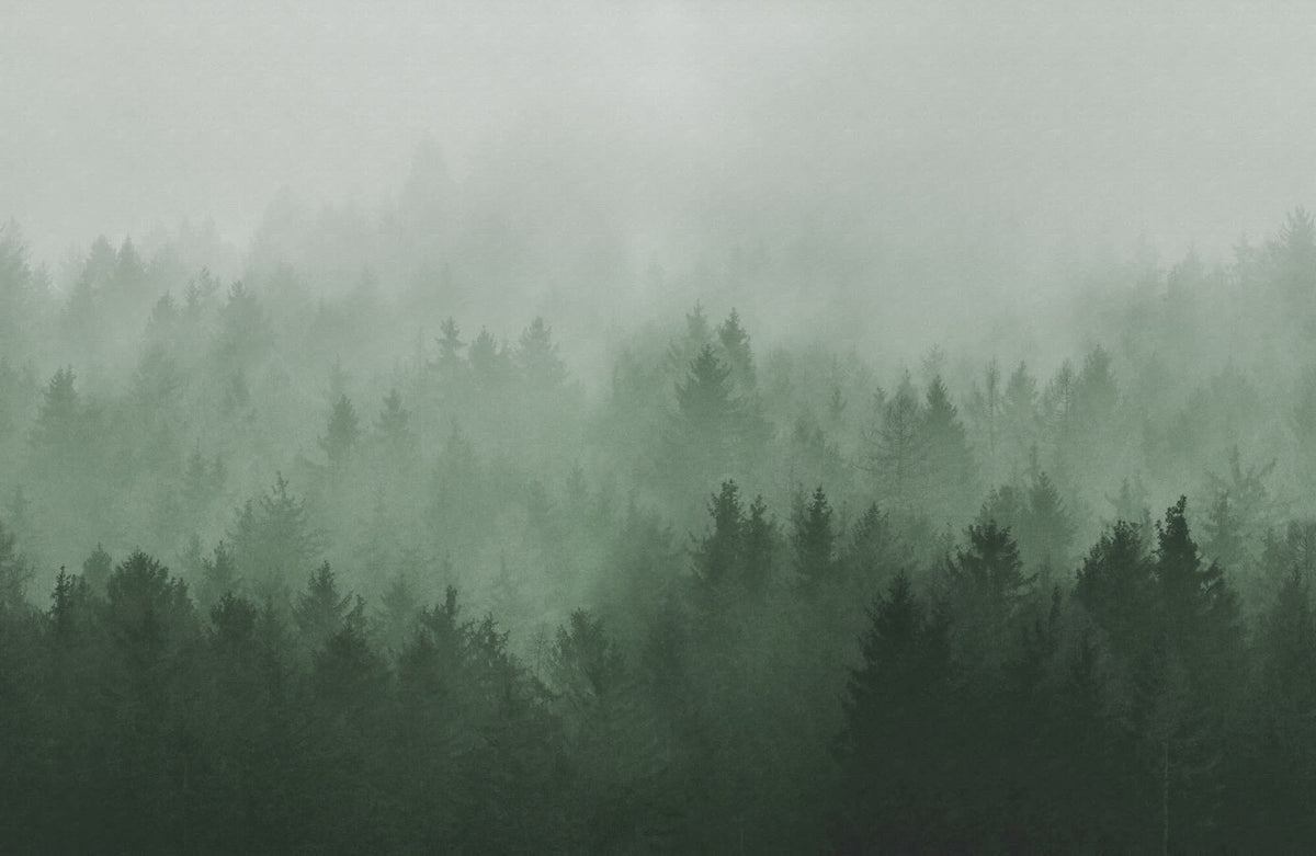 Cloudy Forest wall mural by Rebel Walls in Green, flat swatch