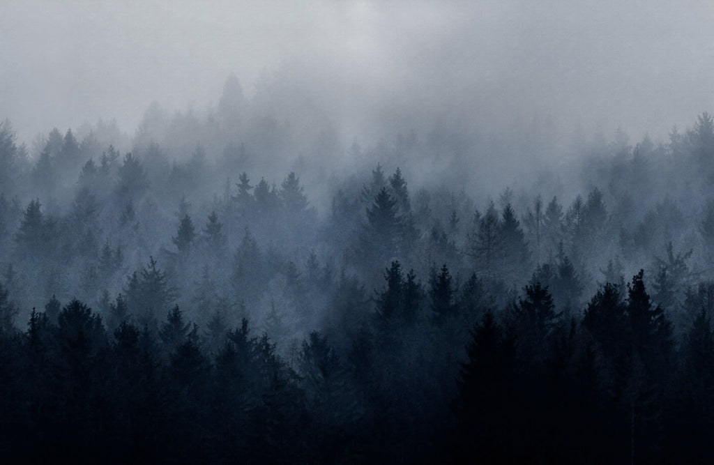 Cloudy Forest wall mural by Rebel Walls in Blue, flat swatch