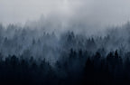 Cloudy Forest wall mural by Rebel Walls in Blue, flat swatch