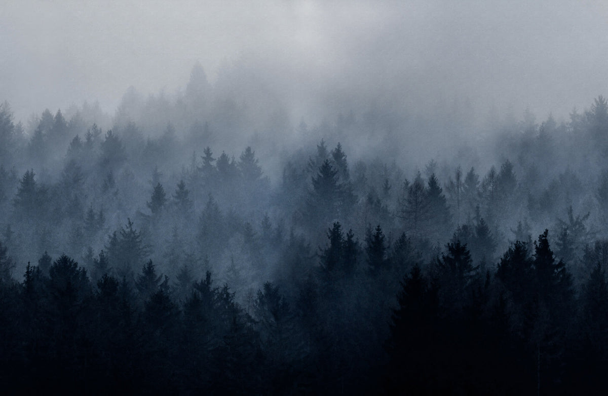 Cloudy Forest wall mural by Rebel Walls in Blue, flat swatch