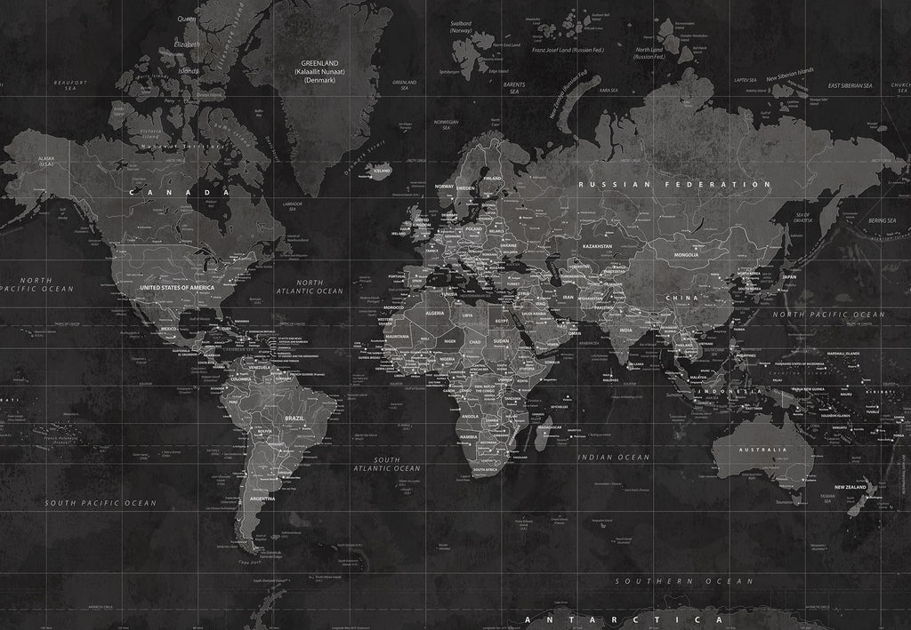 Around the World Mural wall mural by Rebel Walls in Black, flat swatch