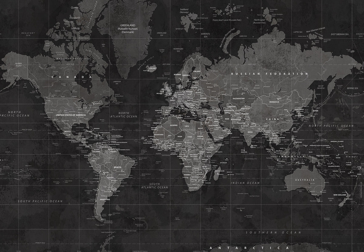 Around the World Mural wall mural by Rebel Walls in Black, flat swatch